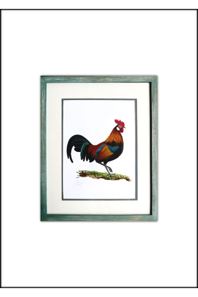 Nimesh Weerasinghe - Red Jungle Fowl